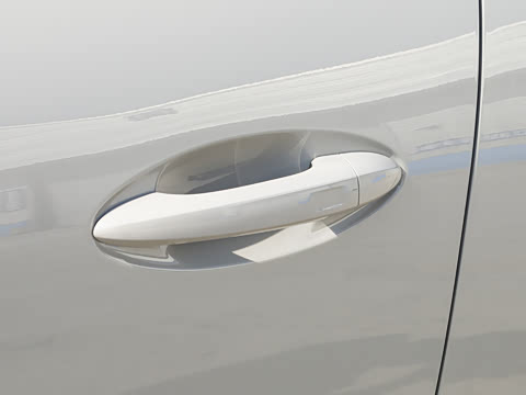 2026�� 290TGDI DCT������ 5��