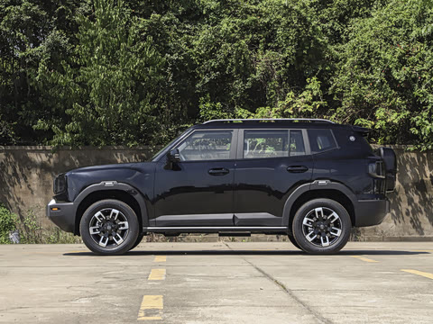 2026�� 2.0TD XWD����