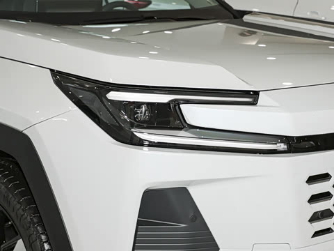 2026�� 2.0L ����PRO+