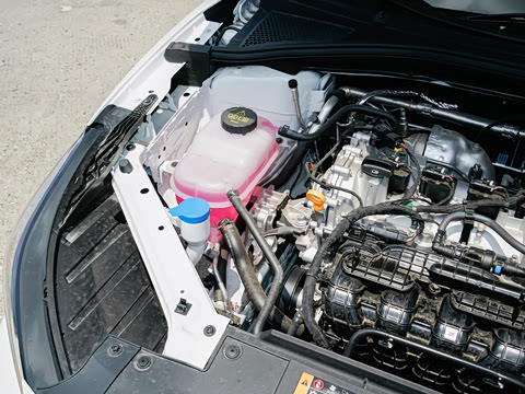 2026�� 180DVVT ȫ�����Ȱ�