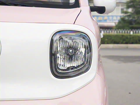 2026�� 222km ��ҫ��