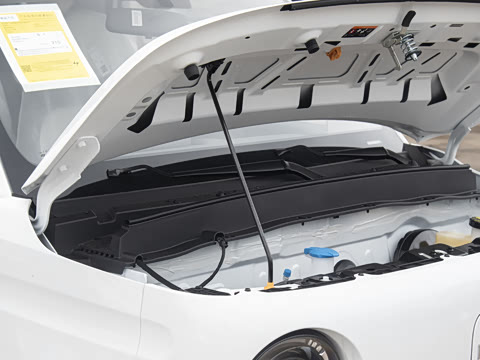 2025�� ������