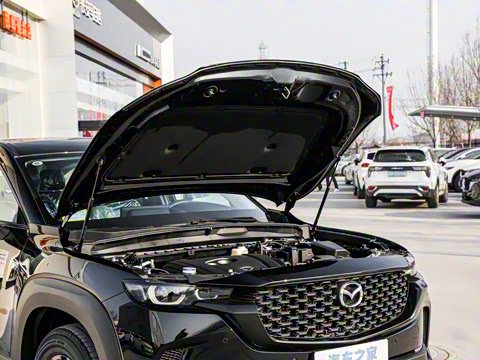 2026�� 2.0L ���а�