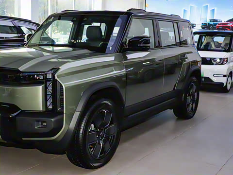 2025�� 520���������