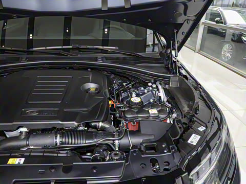 2026�� 250PS Dynamic SE