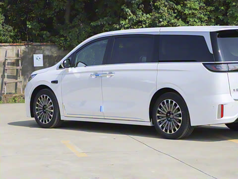 2026�� EV Ǭ��Max