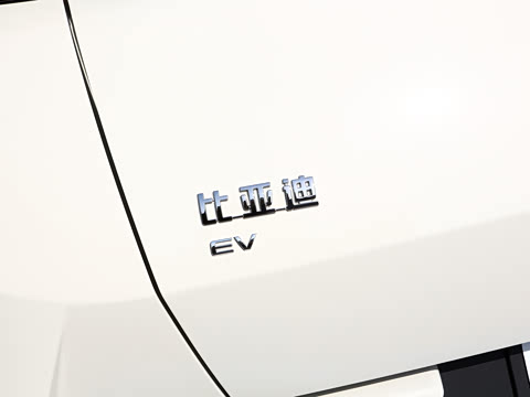 2026�� 305km ���ɰ�