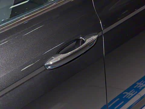 2025�� �Ŀ� 300TSI DSG���а�