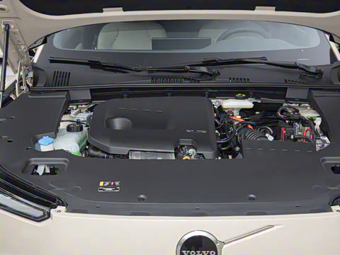 2026�� ������������Plus