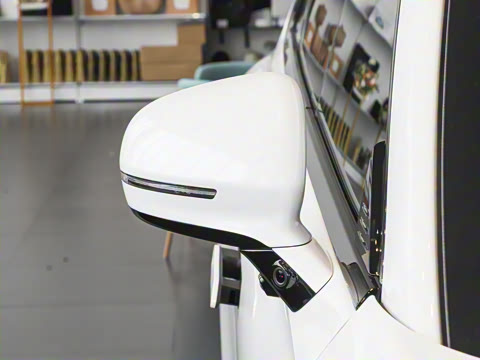 2025�� ���� 265 Max��������������ʻ