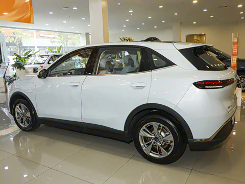 2025�� 565km ������