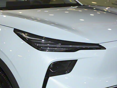 2025�� 565km ������