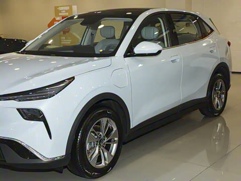 2025�� 565km ������