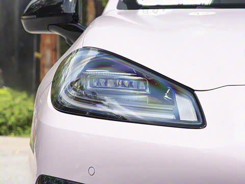 2026�� 650�Ǻ���