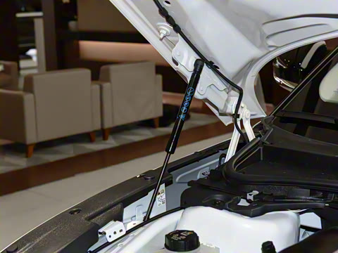 2025�� 2.0T ���ݰ�