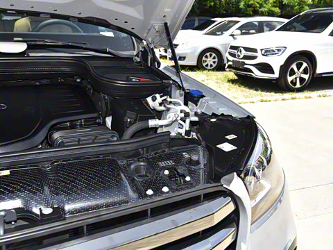 2025�� GLS 450 4MATIC ������