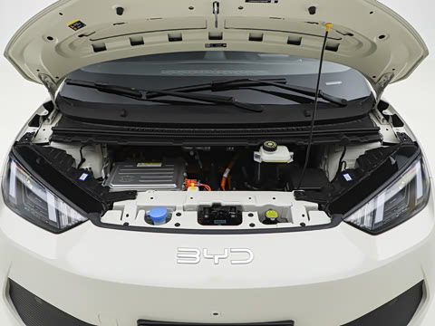 2026�� 305km ������