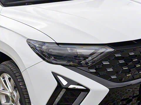 2026�� 280TSI �Զ��ȷ��