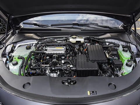 2025�� ������