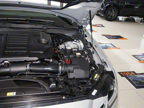 2025�� 2.0T P250 ��������������