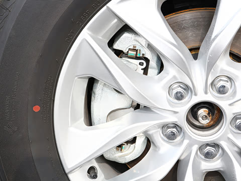 2026�� 2.5L �߶���