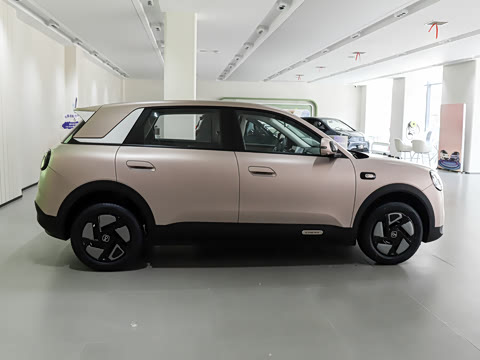 2026�� 310�Ȱ���