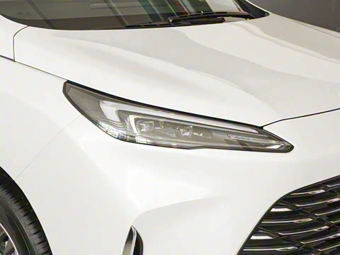 2025�� ½�Ϲ���� ����DG��