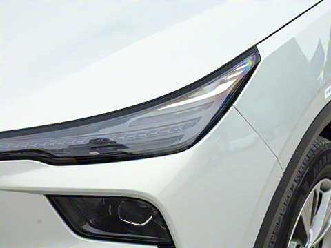 2025�� 565km ������