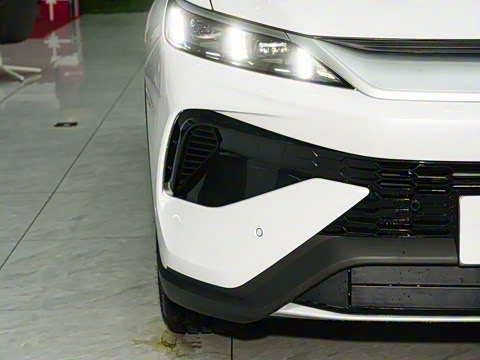 2026�� DM-i 220KM׿Խ��