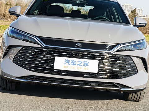 2026�� DM-i 210KM��Խ��