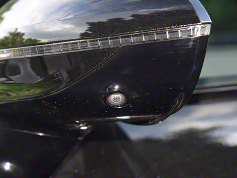 2025�� Max �����