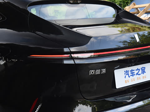 2025�� Max �����