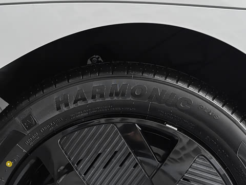 2026�� 501km ���а�