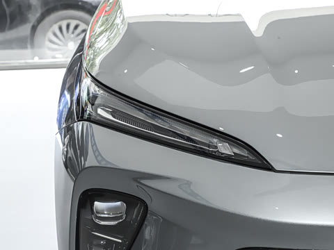 2025�� 25T �׽��