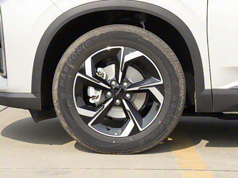 2025�� 518�����͹ھ���