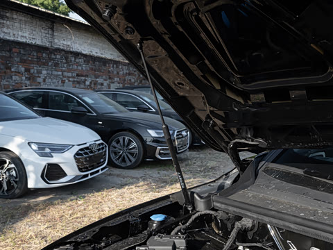 2026�� ǧ���û�ר����