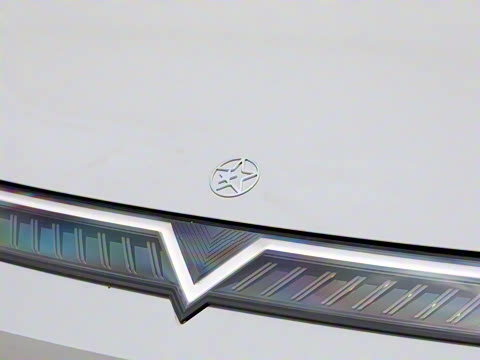 2026�� ��ƽ�� ������������