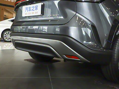 2025�� 300 ����������