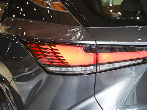 2025�� 300 ����������