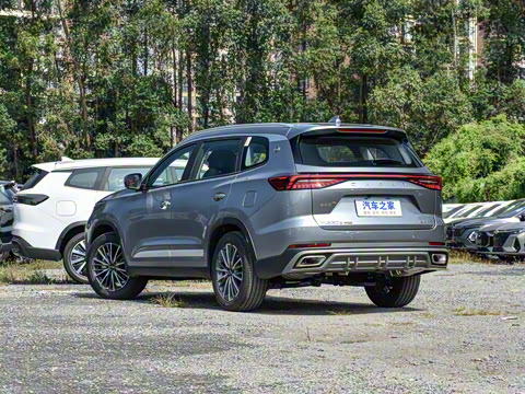 2025�� 290T ��������+