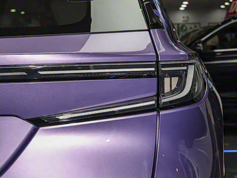 2025�� ����������Pro