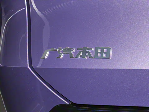 2025�� ����������Pro