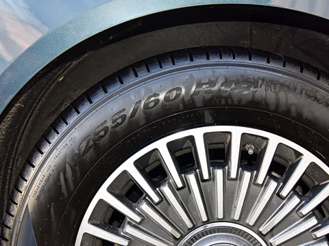 2026�� 1220����Max��