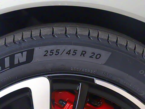 2025�� FREE+ ����Ǭ����