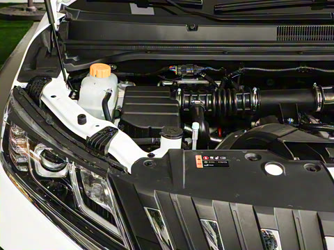 2025�� 2.0L �Զ���������� 7��