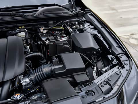 2025�� 1.5L �ֶ�������