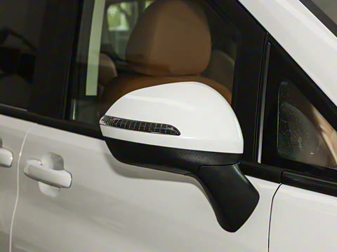 2025�� 2.0L �Զ���������� 7��