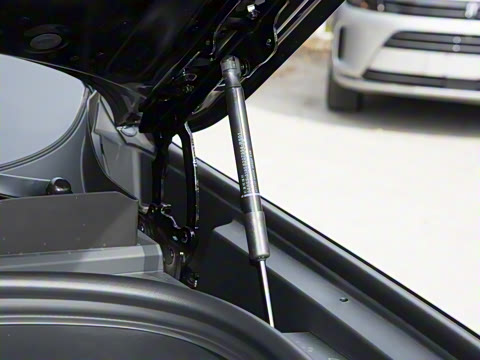 2026�� ���� Max�������� 5��