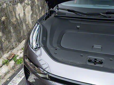 2026��   95������ Max��