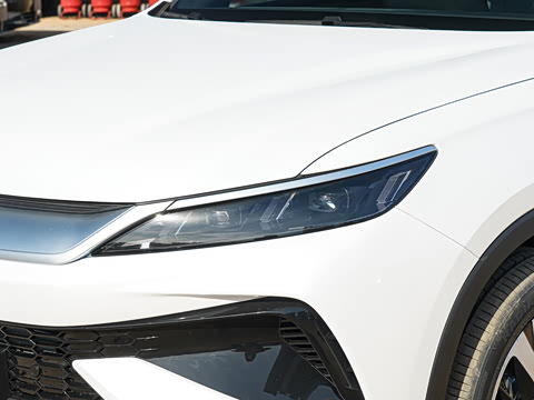 2026�� DM-i 220KM��Խ��